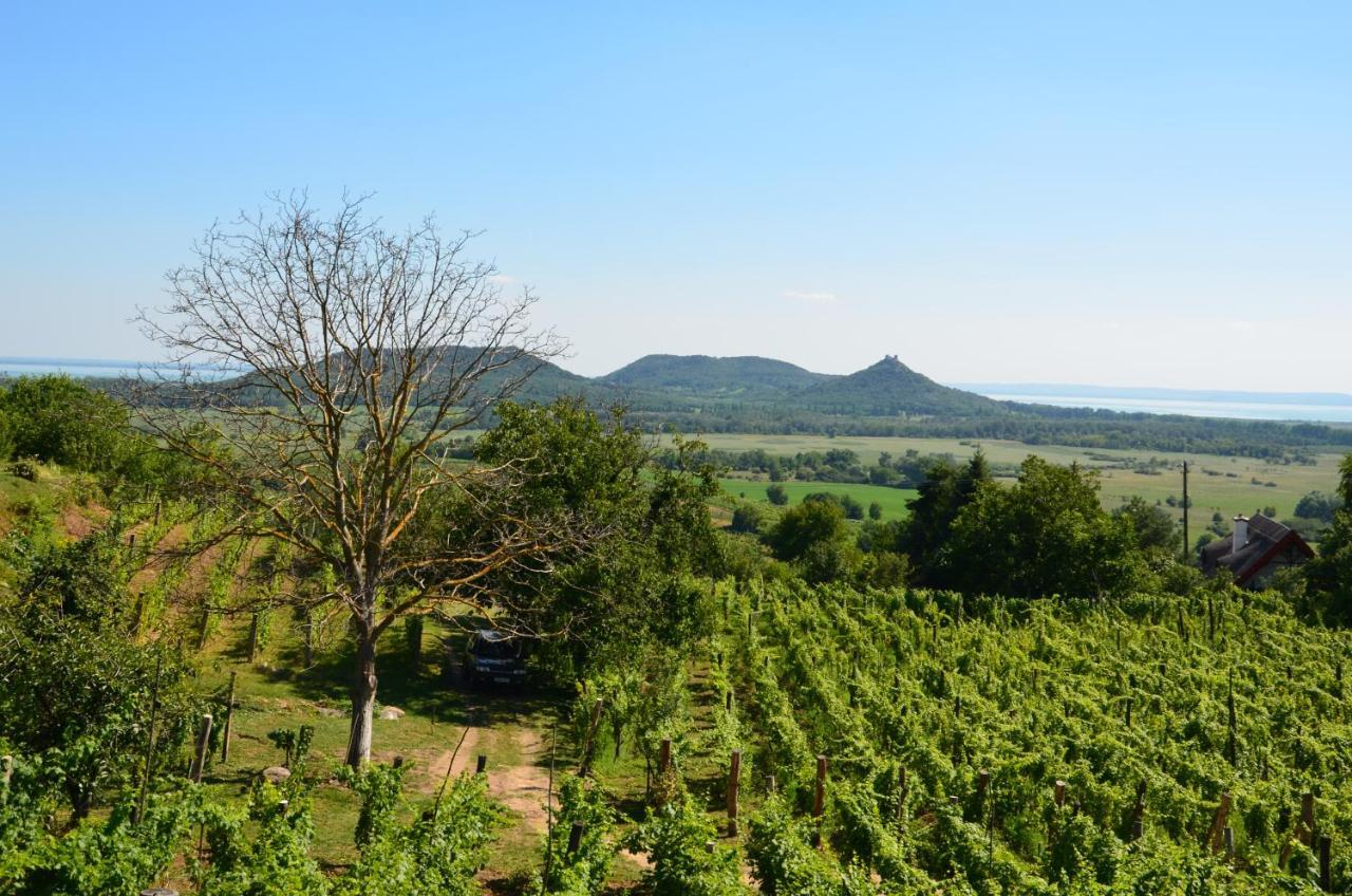 Grand Cru 3. Vendeghaz Villa Hegymagas Екстериор снимка