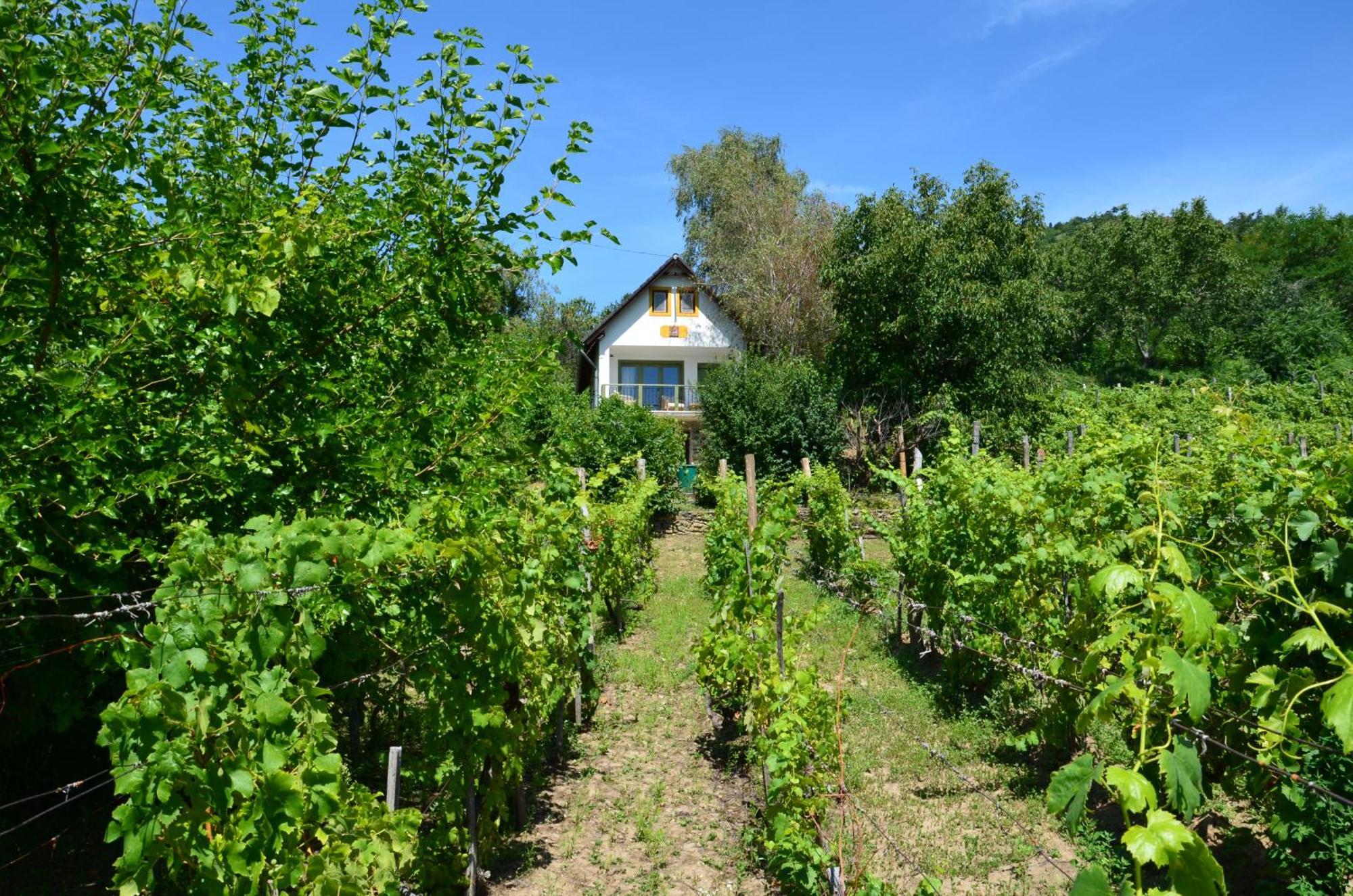 Grand Cru 3. Vendeghaz Villa Hegymagas Екстериор снимка